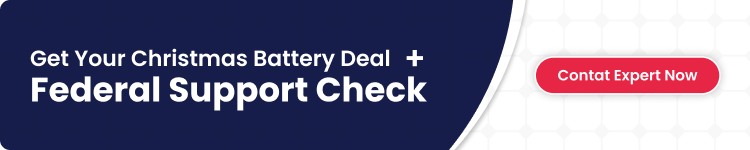 CTA banner offering a Christmas battery deal and federal support check with a button that says Contact Expert Now.