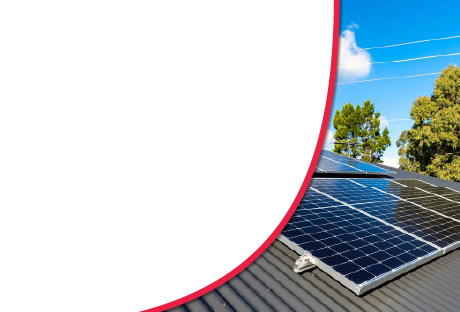 transparent solar panel installation on a sloped rooftop, contrasting with the trees in the background