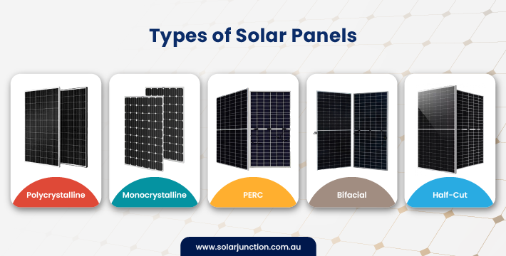 infographic image showing various types of solar panels like polycrystalline, monocrystalline, PERC, Bifacial, and half cut